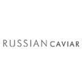 website design for Russian Caviar Company in London