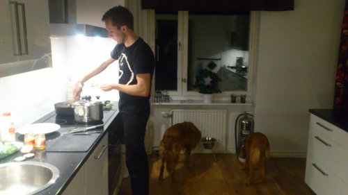 Andreas lagar mat