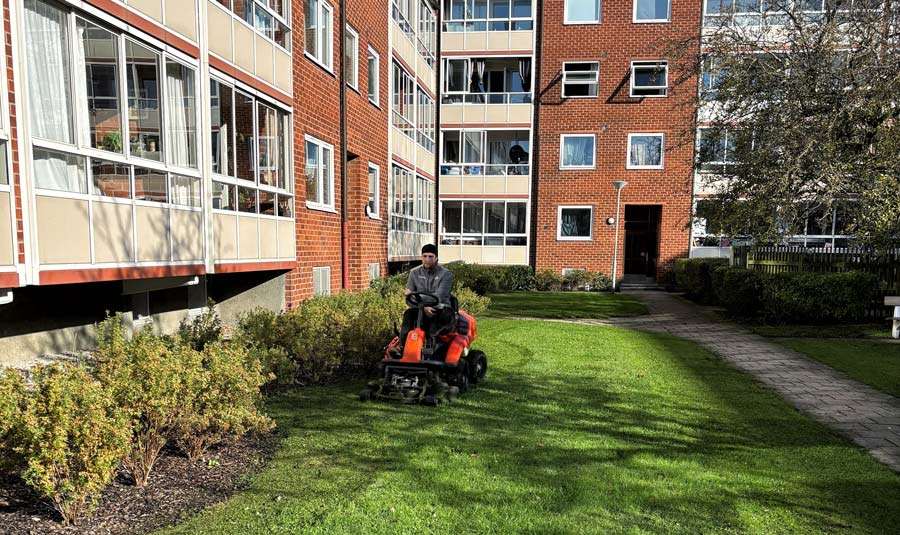 fastighetsskötsel malmö