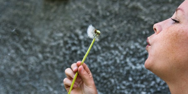 maria-o-maskrosen3-header.jpg