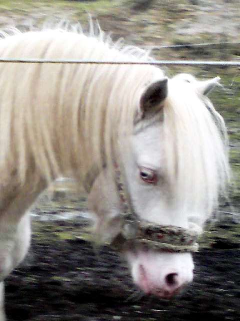 quick-huvudprfil.jpg