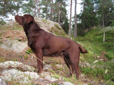 tippo-hemma-sep-2012.jpg