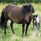 images-058.jpg