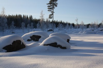 /vinterbilder-2010-004.jpg
