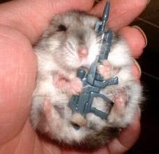 imagescaqz7cxa.jpg