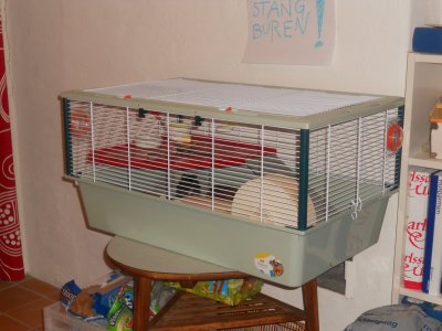 dscn0735.jpg