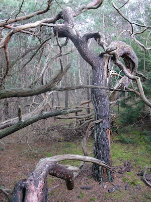 test.jpg