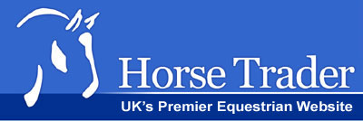 Horse Trader Online