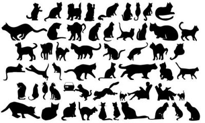 catsil.jpg