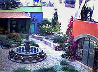 House of the Flowers - Vacation Rental in San Miguel de Allende