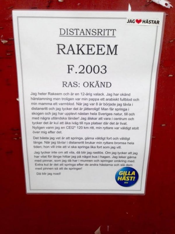 /rakeem-beskrivning-kungstradgarden.jpg