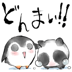 ぺんぎんぱんだ【ちぅ&まぉ】