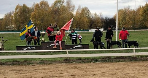 /puppy-derby-2.jpg