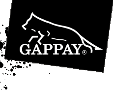 gappay-logo.gif