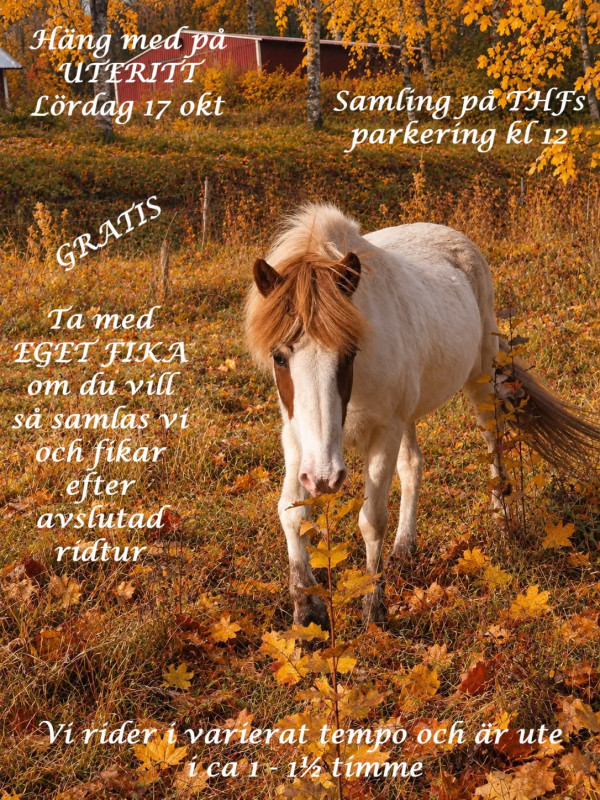 /uteritt-17-okt-2026.jpg