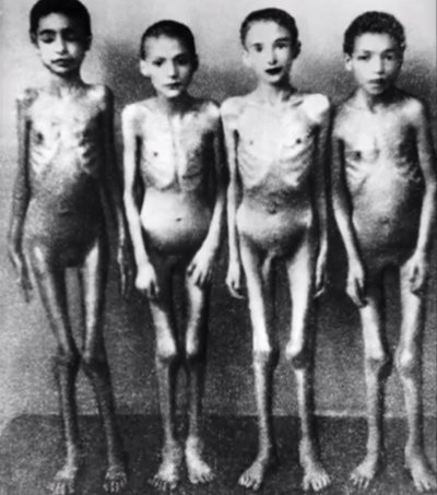 auschwitz.jpg