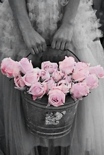 /splash-of-pink-color-_-roses.jpg