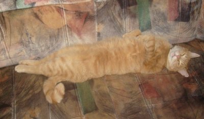 s6303201.jpg s6303201.jpg