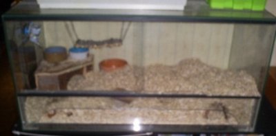 s5033061.jpg s5033061.jpg