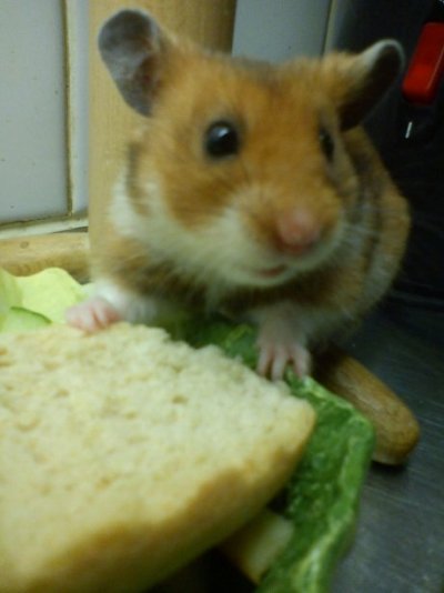 dsc01165.jpg dsc01165.jpg