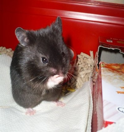 s5032616.jpg s5032616.jpg