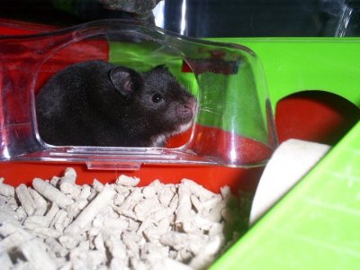 s5032723.jpg s5032723.jpg