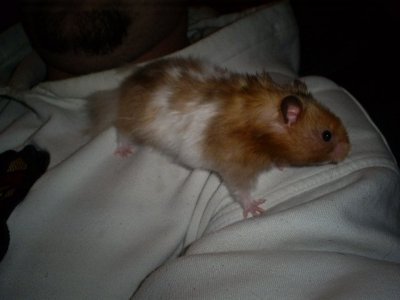 s5032700.jpg s5032700.jpg