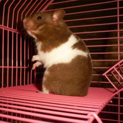 s5032583.jpg s5032583.jpg