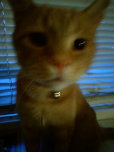 dsc00341.jpg dsc00341.jpg