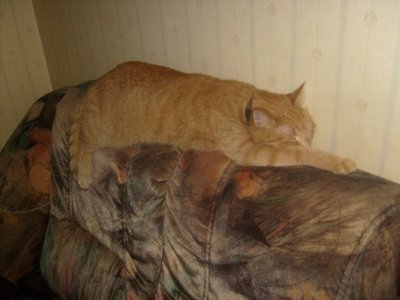 s6303197.jpg s6303197.jpg