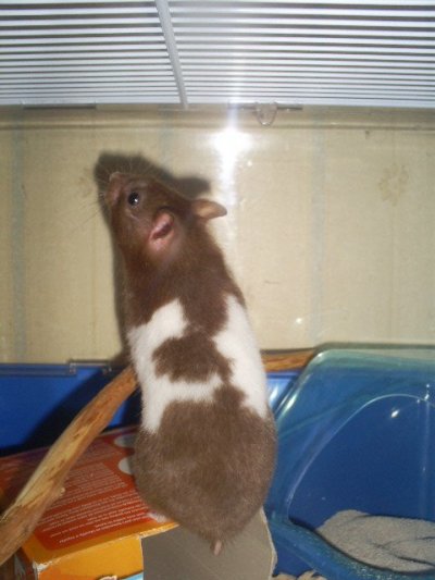 s5032835.jpg s5032835.jpg