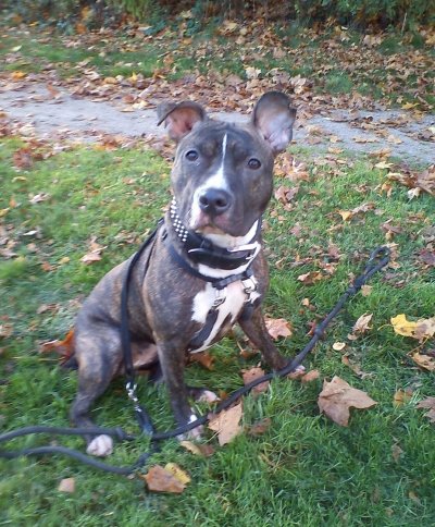 dsc00872.jpg dsc00872.jpg