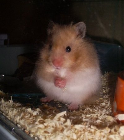 s5032405.jpg s5032405.jpg