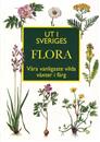 Sveriges florabok i färg