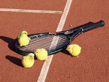 tennis-chicks.jpg