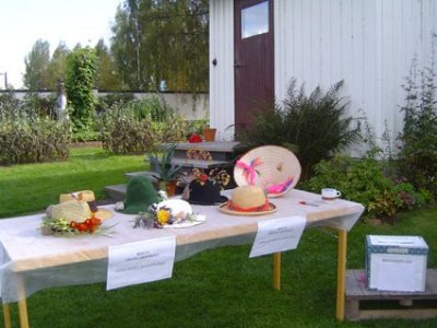 skordefest-hildasholm-hattavling-2012.jpg