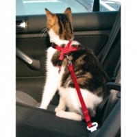 Trixie Autovaljaat kissalle