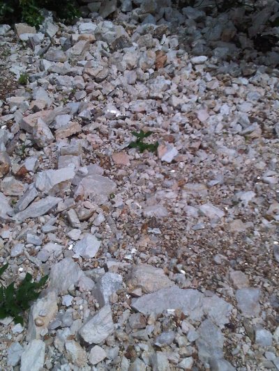 /img00045-20100619-1240.jpg