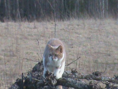 dsc00198.jpg dsc00198.jpg