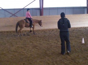 dsc00169.jpg dsc00169.jpg