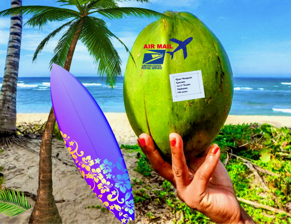 The Green Coconut