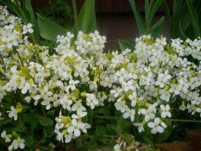 p1010074-4.jpg
