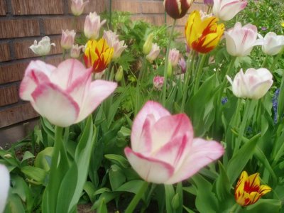 p1010105-3.jpg