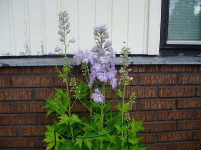 p1010011-5.jpg