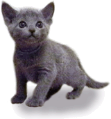 gmcat1040855.gif