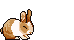 3zs3xiv.gif