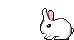 2yopn4k.gif
