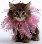 gmcat1578017.gif
