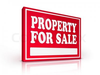 /property_for_sale_sign.jpg