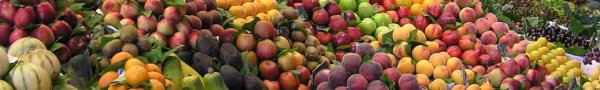 colorful-fruits-and-berries.jpg